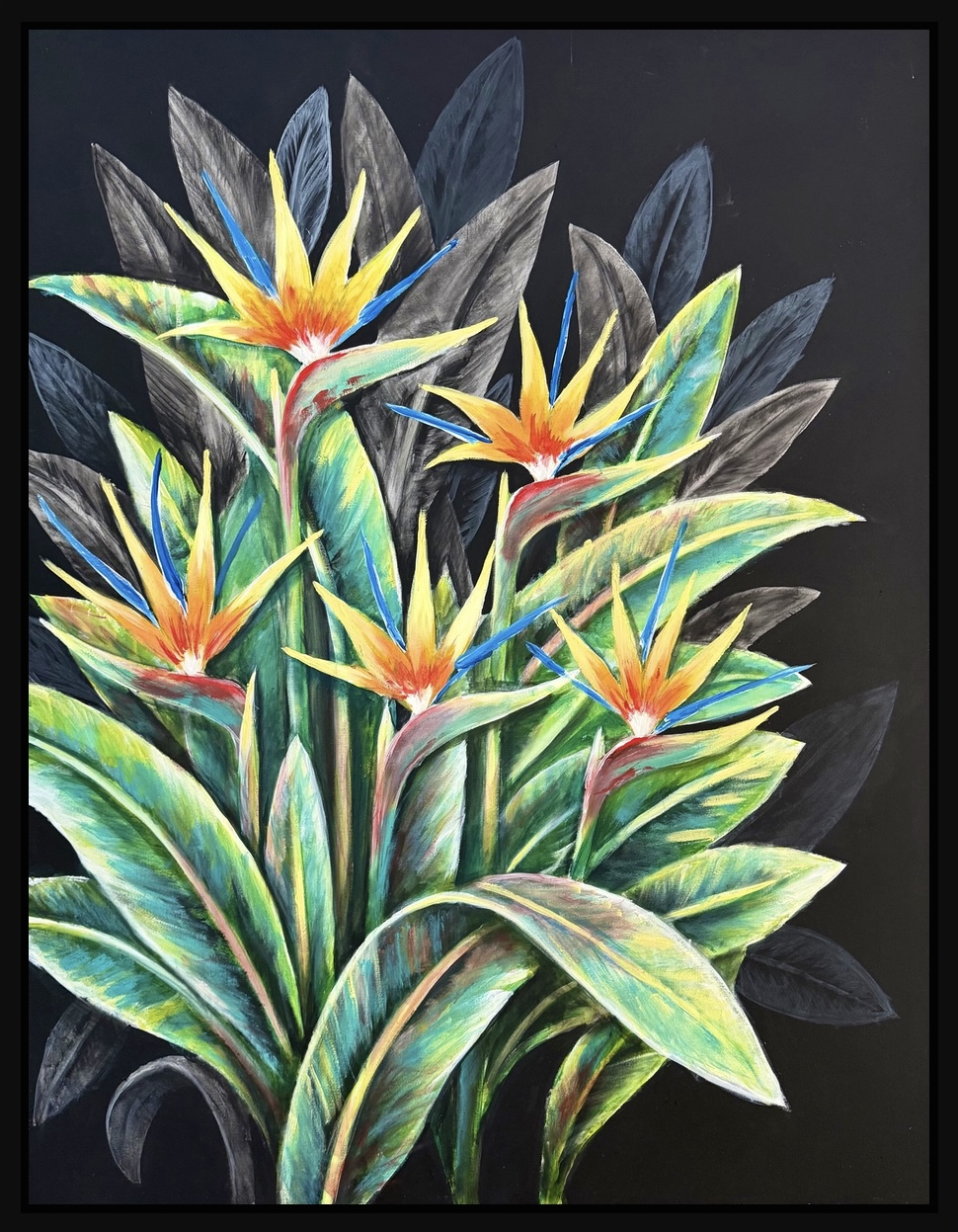 Oiseaux de paradis